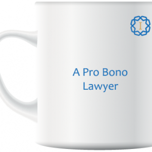 A Pro Bono Lawyer